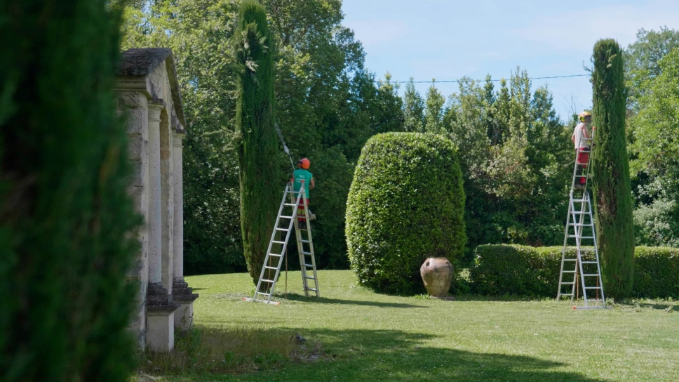 Captation vidéo d'un chantier d'élagage et espaces verts